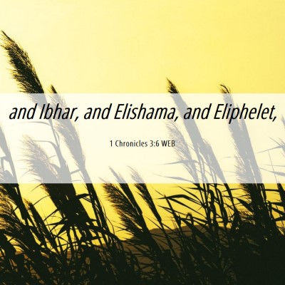 Picture 06 - 1 Chronicles 3:6 WEB - and Ibhar, and Elishama, and - Bible Verse Picture