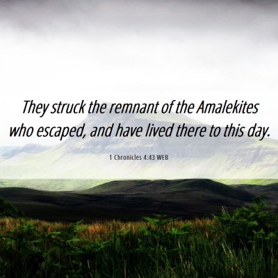 Picture 06 - 1 Chronicles 4:43 WEB - They struck the remnant of the Amalekites who - Bible Verse Picture