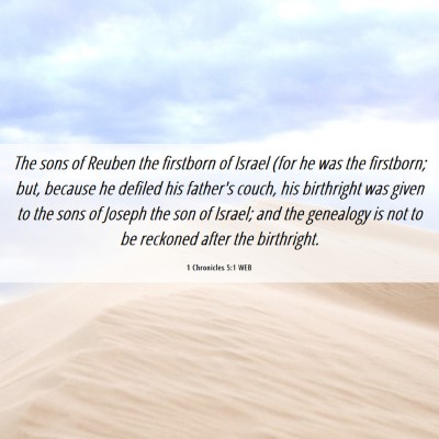 Picture 06 - 1 Chronicles 5:1 WEB - The sons of Reuben the firstborn of Israel (for - Bible Verse Picture