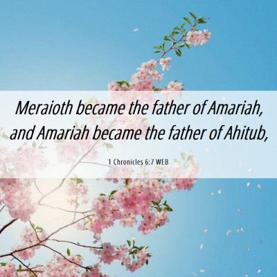 Picture 06 - 1 Chronicles 6:7 WEB - Meraioth became the father of Amariah, and - Bible Verse Picture