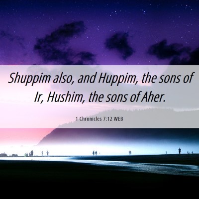 Picture 06 - 1 Chronicles 7:12 WEB - Shuppim also, and Huppim, the sons of Ir, Hushim, - Bible Verse Picture