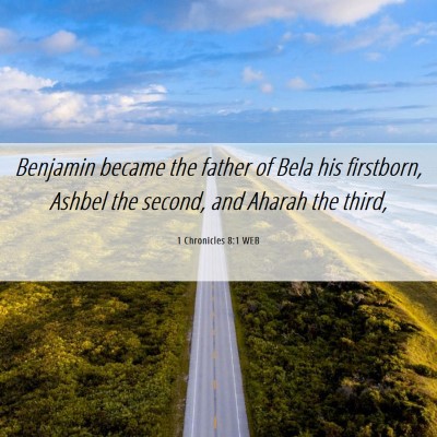 Picture 06 - 1 Chronicles 8:1 WEB - Benjamin became the father of Bela his firstborn, - Bible Verse Picture
