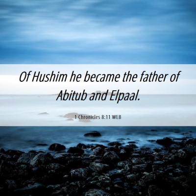 Picture 06 - 1 Chronicles 8:11 WEB - Of Hushim he became the father of Abitub and - Bible Verse Picture