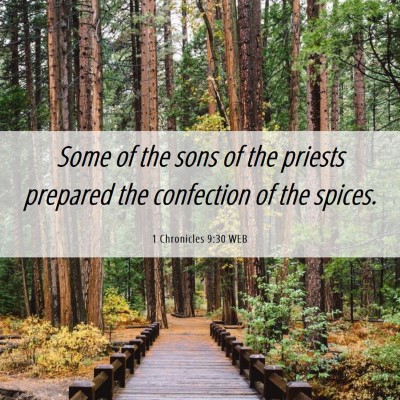 Picture 06 - 1 Chronicles 9:30 WEB - Some of the sons of the priests prepared the - Bible Verse Picture