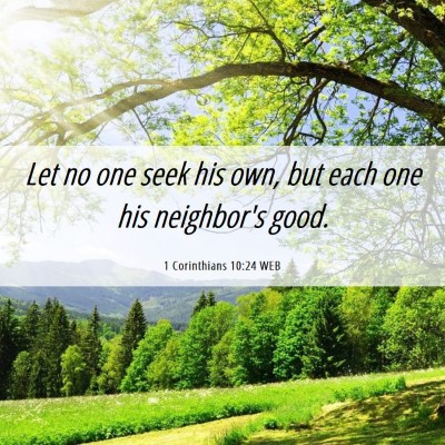 Picture 06 - 1 Corinthians 10:24 WEB - Let no one seek his own, but each one his - Bible Verse Picture