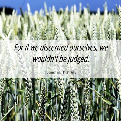 Picture 06 - 1 Corinthians 11:31 WEB - For if we discerned ourselves, we wouldn't be - Bible Verse Picture