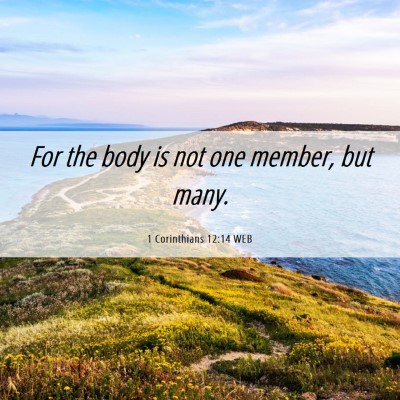 Picture 06 - 1 Corinthians 12:14 WEB - For the body is not one member, but - Bible Verse Picture