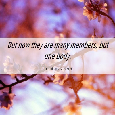 Picture 06 - 1 Corinthians 12:20 WEB - But now they are many members, but one - Bible Verse Picture