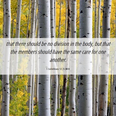 Picture 06 - 1 Corinthians 12:25 WEB - that there should be no division in the body, but - Bible Verse Picture