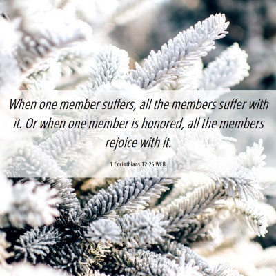 Picture 06 - 1 Corinthians 12:26 WEB - When one member suffers, all the members suffer - Bible Verse Picture