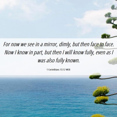 Picture 06 - 1 Corinthians 13:12 WEB - For now we see in a mirror, dimly, but then face - Bible Verse Picture