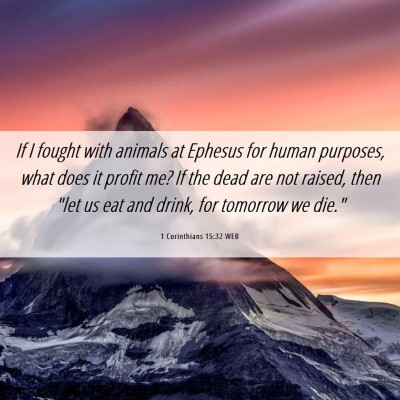 Picture 06 - 1 Corinthians 15:32 WEB - If I fought with animals at Ephesus for human - Bible Verse Picture