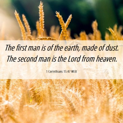 Picture 06 - 1 Corinthians 15:47 WEB - The first man is of the earth, made of dust. The - Bible Verse Picture