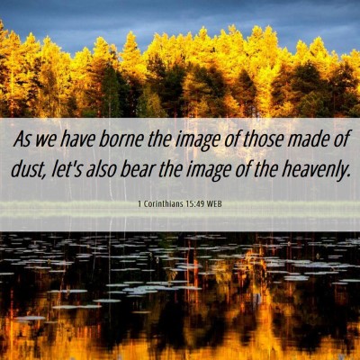Picture 06 - 1 Corinthians 15:49 WEB - As we have borne the image of those made of dust, - Bible Verse Picture