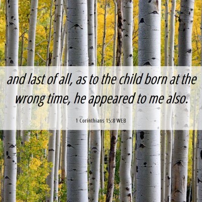 Picture 06 - 1 Corinthians 15:8 WEB - and last of all, as to the child born at the - Bible Verse Picture