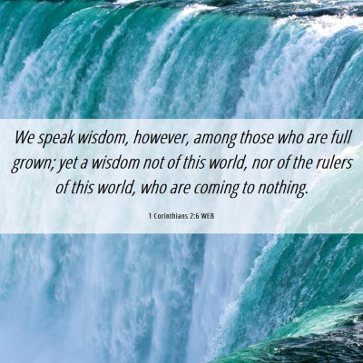 Picture 06 - 1 Corinthians 2:6 WEB - We speak wisdom, however, among those who are - Bible Verse Picture