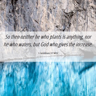 Picture 06 - 1 Corinthians 3:7 WEB - So then neither he who plants is anything, nor he - Bible Verse Picture
