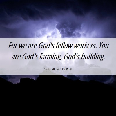 Picture 06 - 1 Corinthians 3:9 WEB - For we are God's fellow workers. You are God's - Bible Verse Picture
