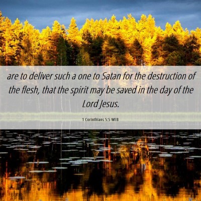 Picture 06 - 1 Corinthians 5:5 WEB - are to deliver such a one to Satan for the - Bible Verse Picture
