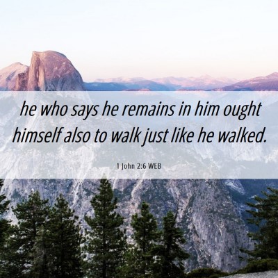 Picture 06 - 1 John 2:6 WEB - he who says he remains in him ought himself also - Bible Verse Picture