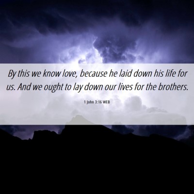 Picture 06 - 1 John 3:16 WEB - By this we know love, because he laid down his - Bible Verse Picture