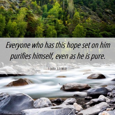 Picture 06 - 1 John 3:3 WEB - Everyone who has this hope set on him purifies - Bible Verse Picture