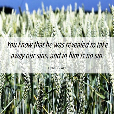 Picture 06 - 1 John 3:5 WEB - You know that he was revealed to take away our - Bible Verse Picture