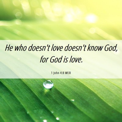 Picture 06 - 1 John 4:8 WEB - He who doesn't love doesn't know God, for God is - Bible Verse Picture