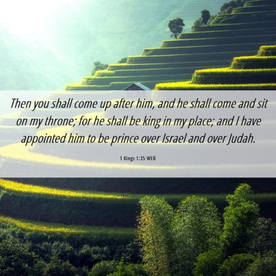 Picture 06 - 1 Kings 1:35 WEB - Then you shall come up after him, and he shall - Bible Verse Picture