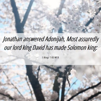 Picture 06 - 1 Kings 1:43 WEB - Jonathan answered Adonijah, Most assuredly our - Bible Verse Picture