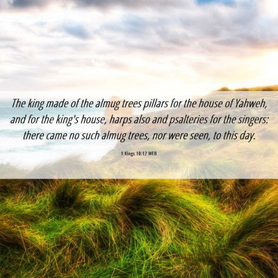 Picture 06 - 1 Kings 10:12 WEB - The king made of the almug trees pillars for the - Bible Verse Picture
