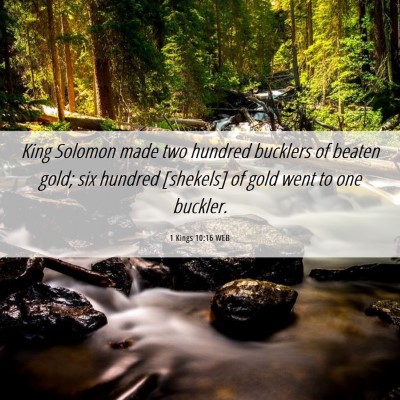 Picture 06 - 1 Kings 10:16 WEB - King Solomon made two hundred bucklers of beaten - Bible Verse Picture