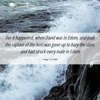Picture 06 - 1 Kings 11:15 WEB - For it happened, when David was in Edom, and Joab - Bible Verse Picture