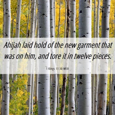 Picture 06 - 1 Kings 11:30 WEB - Ahijah laid hold of the new garment that was on - Bible Verse Picture