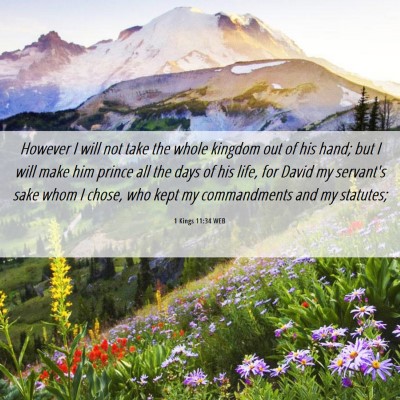 Picture 06 - 1 Kings 11:34 WEB - However I will not take the whole kingdom out of - Bible Verse Picture
