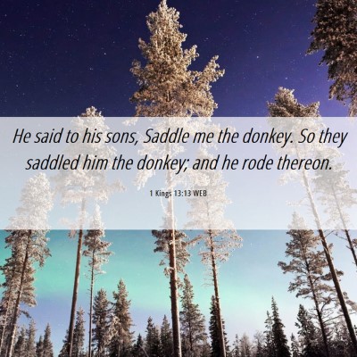 Picture 06 - 1 Kings 13:13 WEB - He said to his sons, Saddle me the donkey. So - Bible Verse Picture