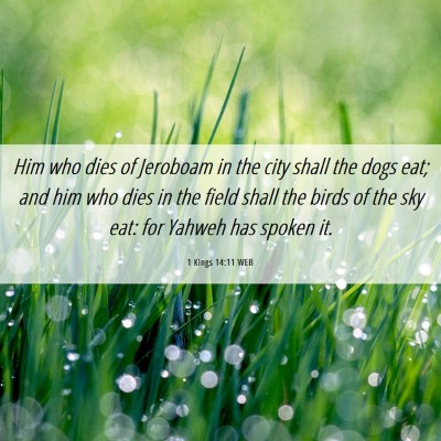 Picture 06 - 1 Kings 14:11 WEB - Him who dies of Jeroboam in the city shall the - Bible Verse Picture