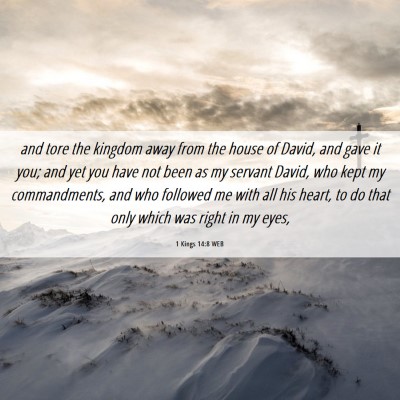 Picture 06 - 1 Kings 14:8 WEB - and tore the kingdom away from the house of - Bible Verse Picture