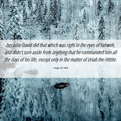 Picture 06 - 1 Kings 15:5 WEB - because David did that which was right in the - Bible Verse Picture