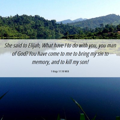 Picture 06 - 1 Kings 17:18 WEB - She said to Elijah, What have I to do with you, - Bible Verse Picture