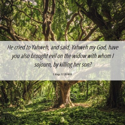 Picture 06 - 1 Kings 17:20 WEB - He cried to Yahweh, and said, Yahweh my God, have - Bible Verse Picture