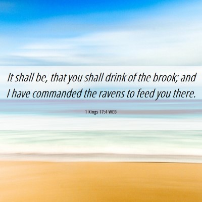 Picture 06 - 1 Kings 17:4 WEB - It shall be, that you shall drink of the brook; - Bible Verse Picture