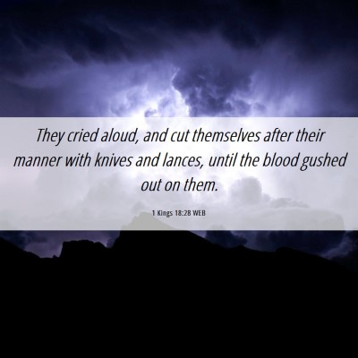 Picture 06 - 1 Kings 18:28 WEB - They cried aloud, and cut themselves after their - Bible Verse Picture