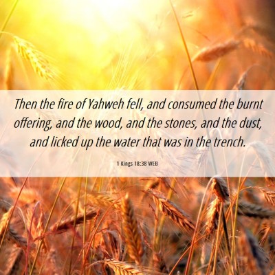 Picture 06 - 1 Kings 18:38 WEB - Then the fire of Yahweh fell, and consumed the - Bible Verse Picture