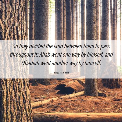 Picture 06 - 1 Kings 18:6 WEB - So they divided the land between them to pass - Bible Verse Picture