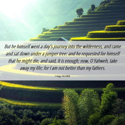 Picture 06 - 1 Kings 19:4 WEB - But he himself went a day's journey into the - Bible Verse Picture