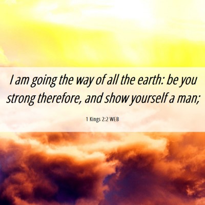 Picture 06 - 1 Kings 2:2 WEB - I am going the way of all the earth: be you - Bible Verse Picture