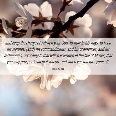 Picture 06 - 1 Kings 2:3 WEB - and keep the charge of Yahweh your God, to walk - Bible Verse Picture