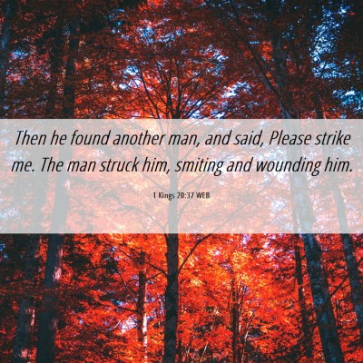 Picture 06 - 1 Kings 20:37 WEB - Then he found another man, and said, Please - Bible Verse Picture