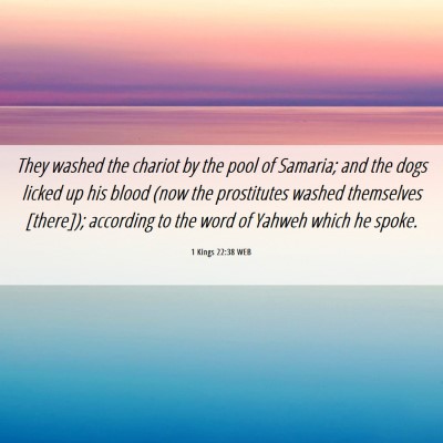 Picture 06 - 1 Kings 22:38 WEB - They washed the chariot by the pool of Samaria; - Bible Verse Picture